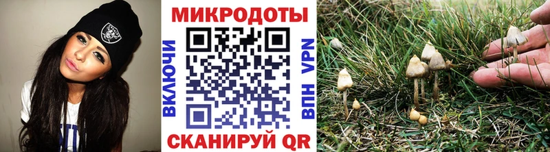 Псилоцибиновые грибы MAGIC MUSHROOMS Болгар